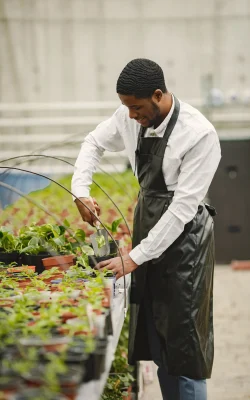 gardener apron african guy greenhouse flowers pot
